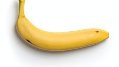 warum ist die banane krumm